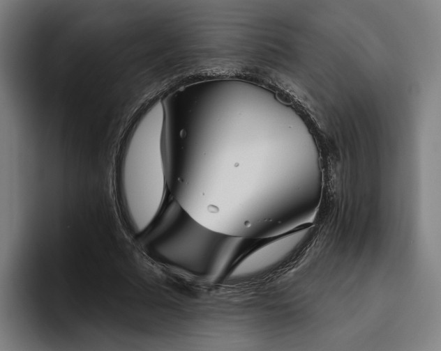 X0000094810681200711161508
