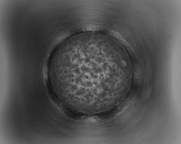 X0000094810683200711161508