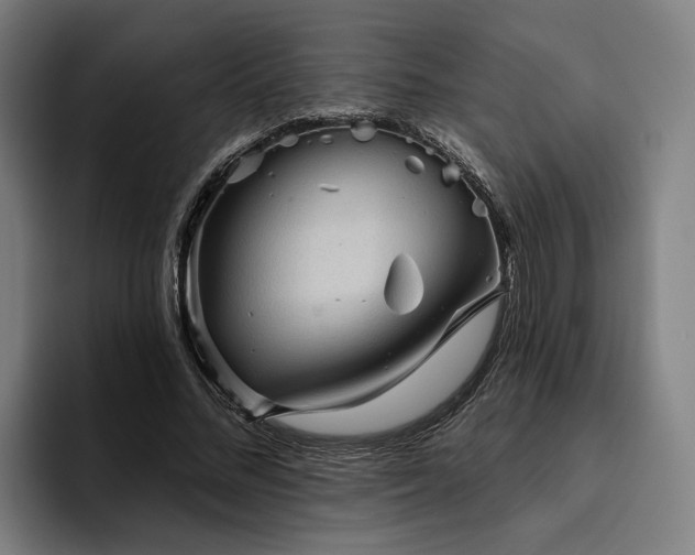 X0000094810684200711161508