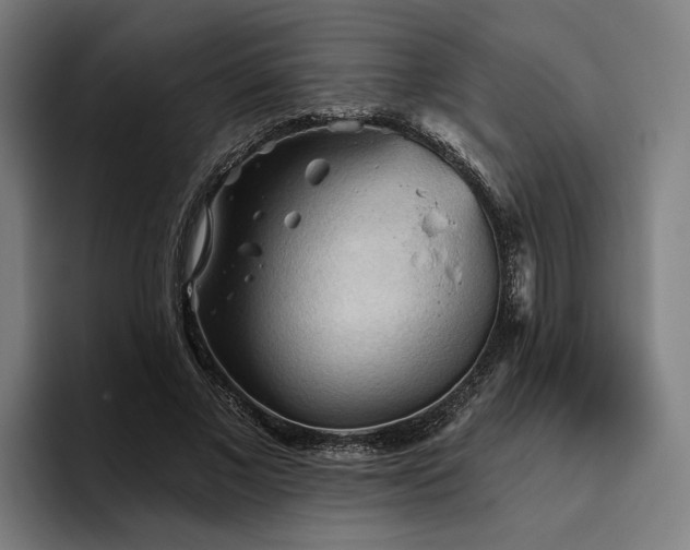 X0000094810685200711161508