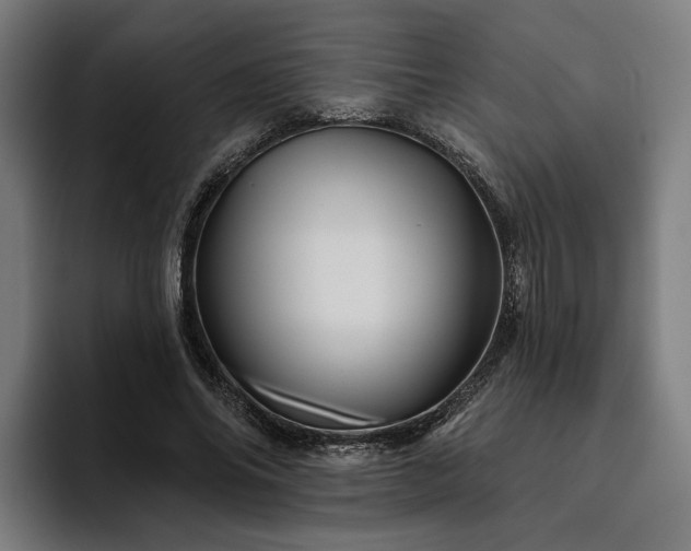 X0000094810686200711161508