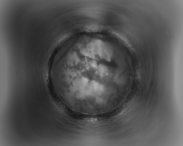 X0000094810687200711161508