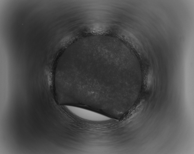 X0000094810689200711161508