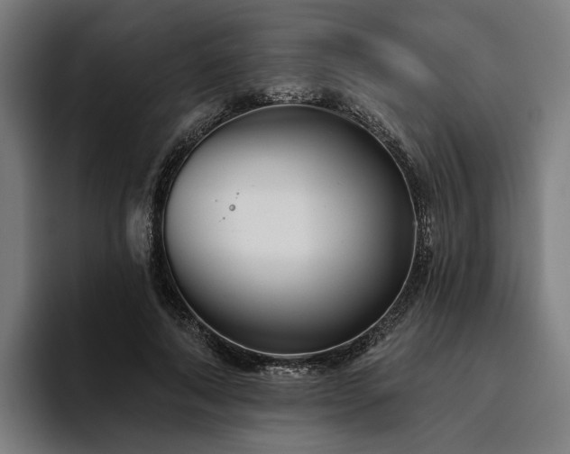 X0000094810690200711161508