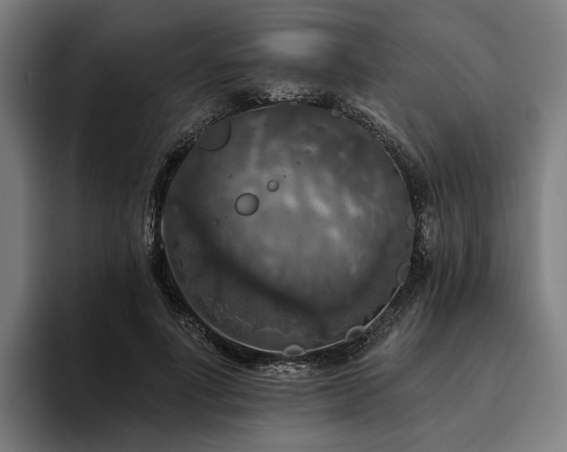 X0000094810691200711161508