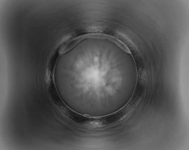 X0000094810692200711161508