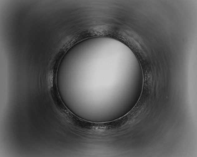 X0000094810694200711161508
