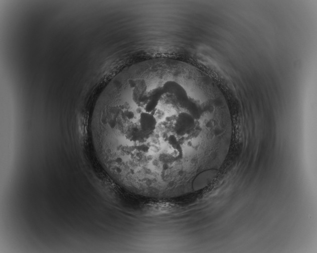 X0000094810695200711161508