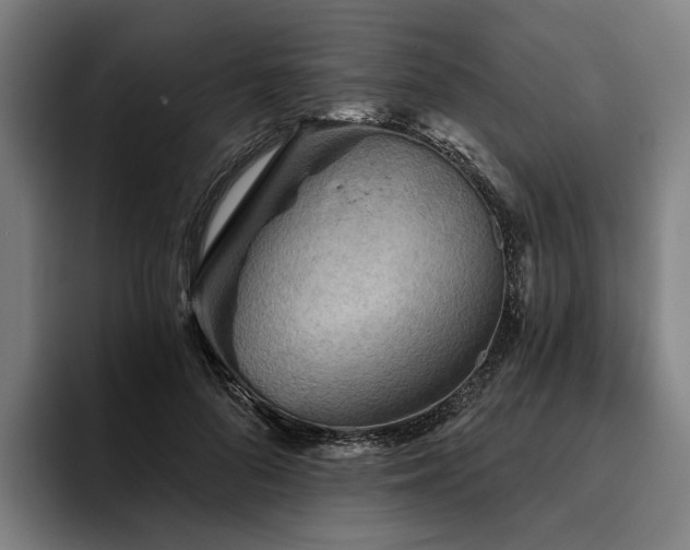 X0000094810696200711161508