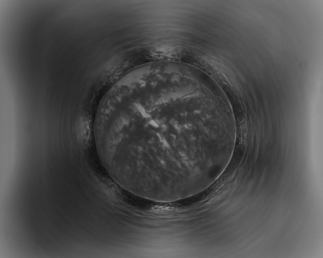 X0000094810699200711161507