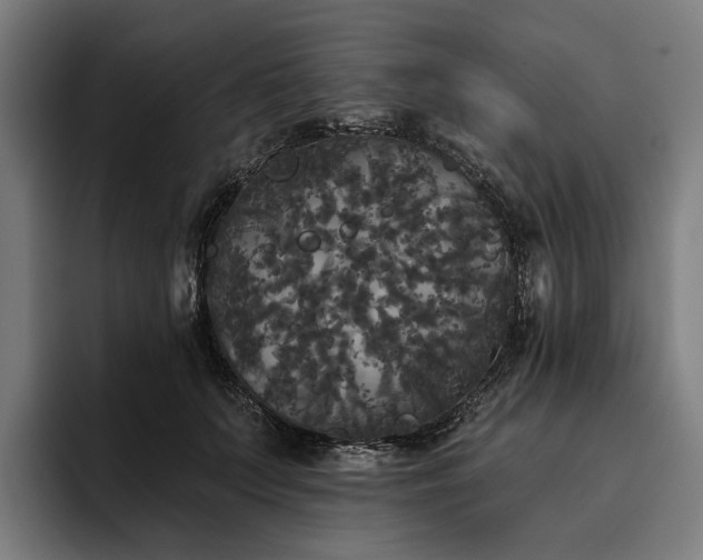 X0000094810703200711161507