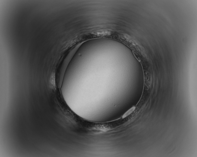 X0000094810704200711161507