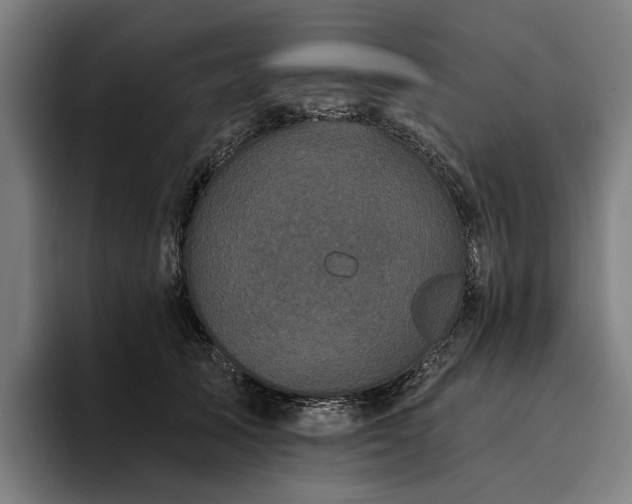 X0000094810705200711161507