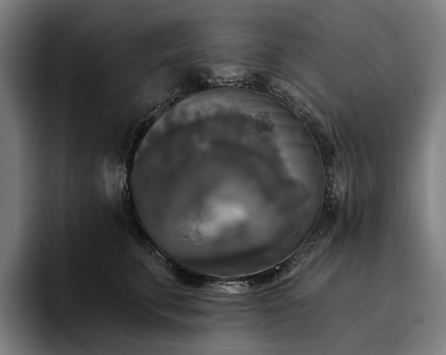 X0000094810711200711161507