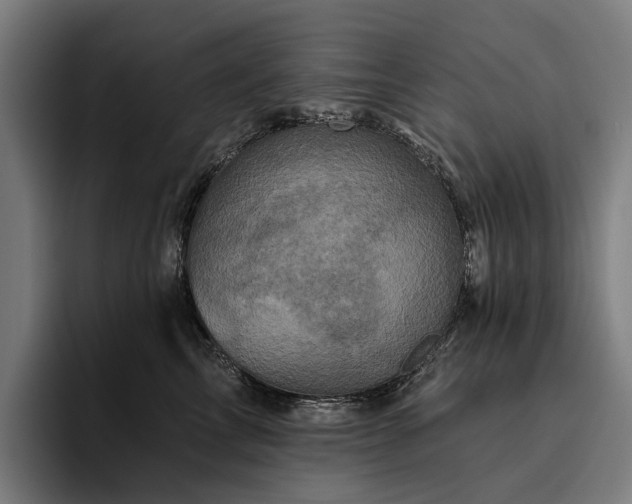X0000094810713200711161507