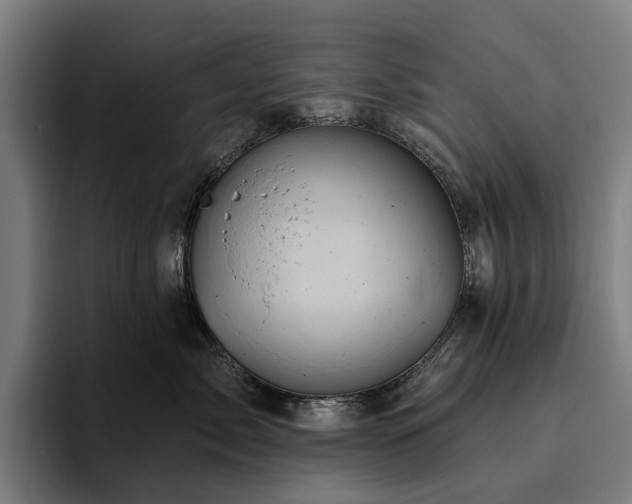 X0000094810717200711161507