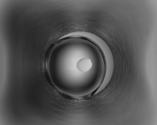 X0000094810720200711161507