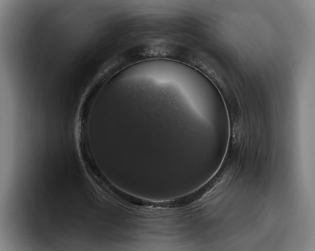 X0000094810722200711161507
