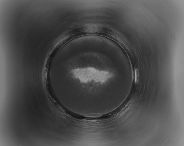 X0000094810723200711161507