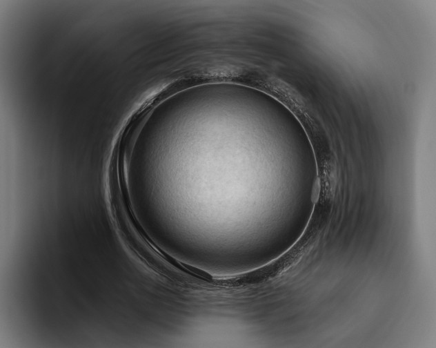 X0000094810726200711161507