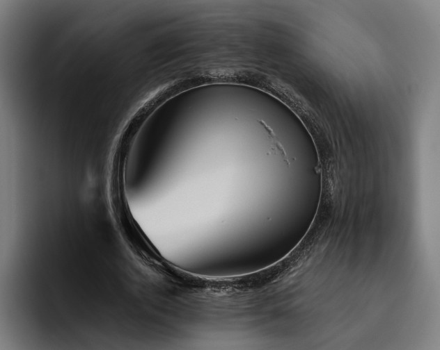 X0000094810728200711161507