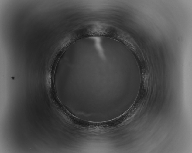 X0000094810729200711161507