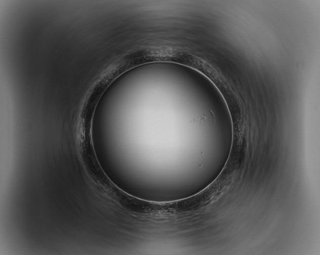 X0000094810731200711161507