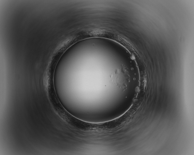 X0000094810732200711161507