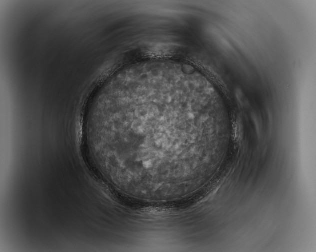 X0000094810733200711161507