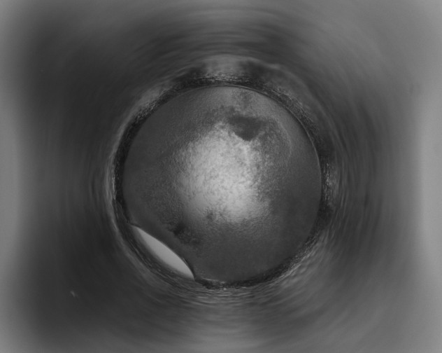 X0000094810734200711161507
