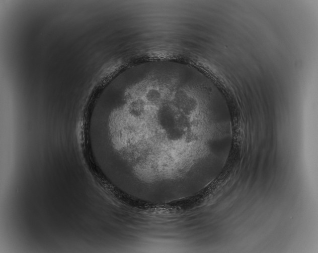 X0000094810738200711161507