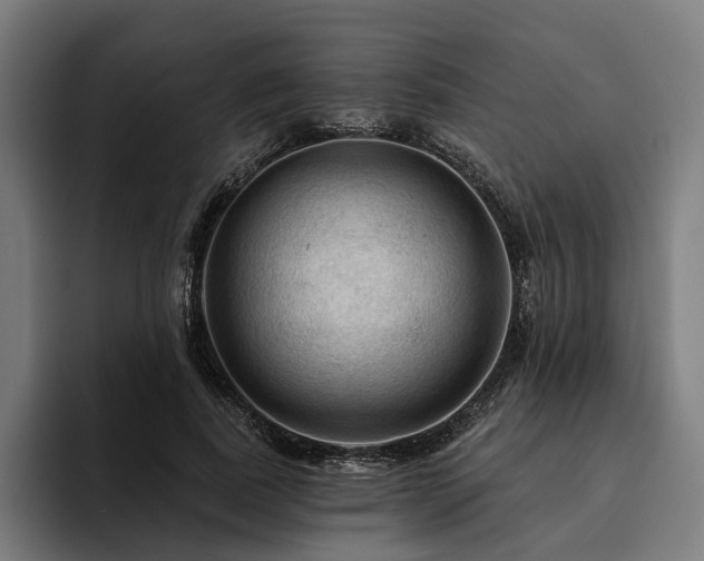 X0000094810739200711161507