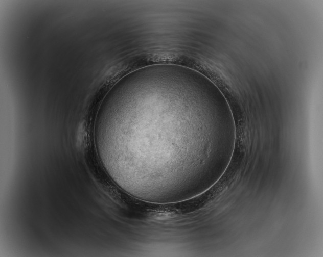 X0000094810743200711161507