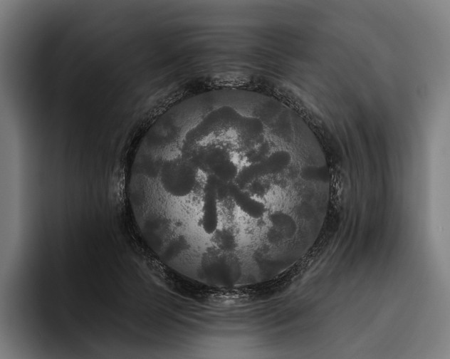 X0000094810745200711161507
