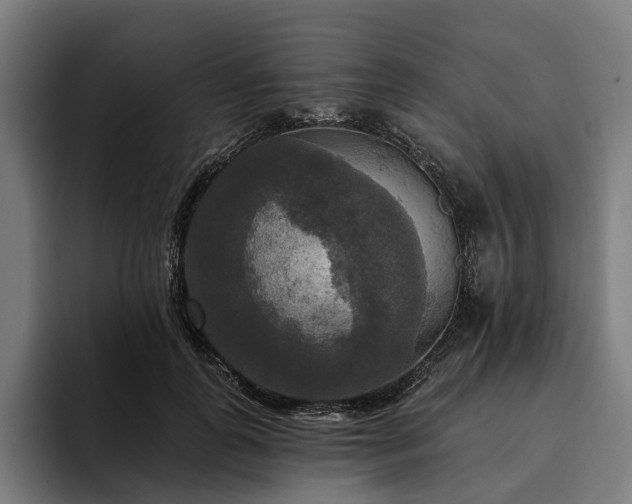 X0000094810747200711161507