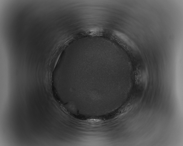 X0000094810748200711161507
