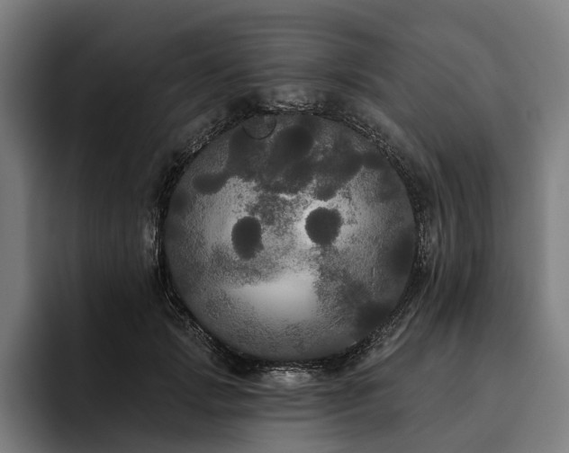 X0000094810749200711161507