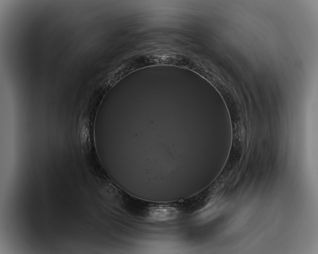 X0000094810754200711161507