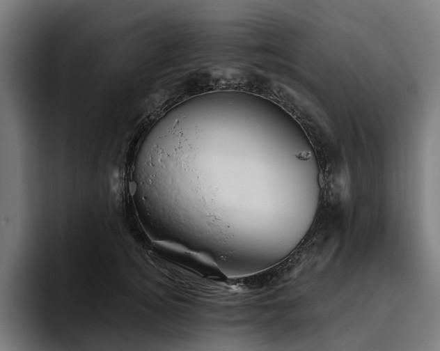 X0000094810756200711161507