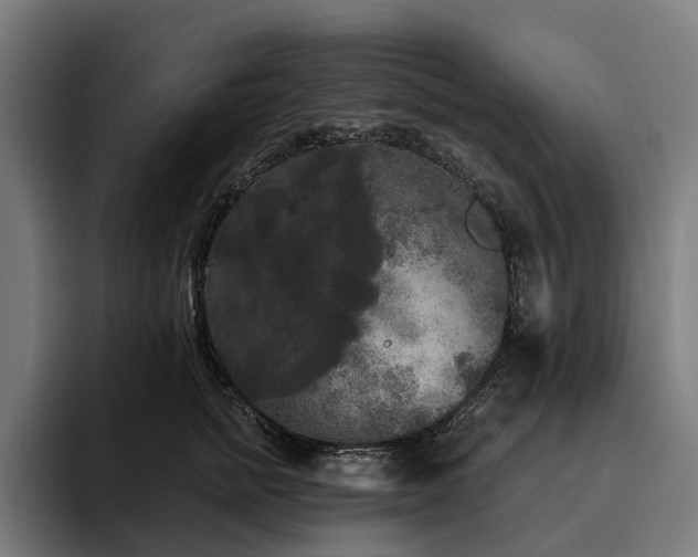 X0000094810758200711161507
