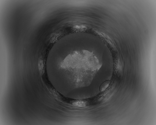 X0000094810759200711161507