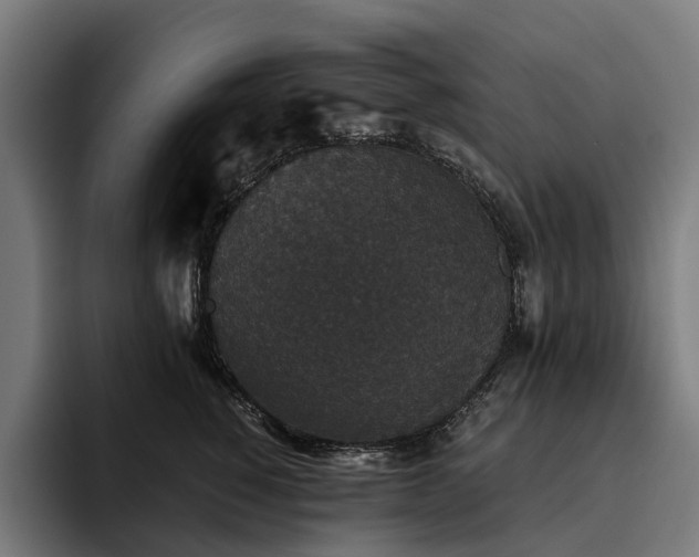X0000094810760200711161507