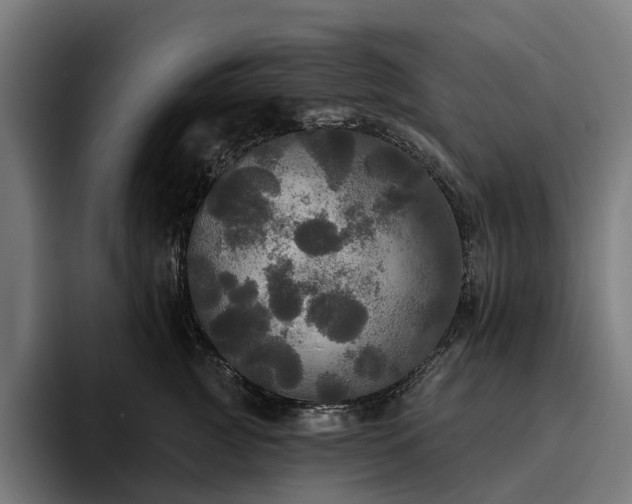 X0000094810761200711161507