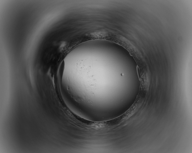 X0000094810762200711161507