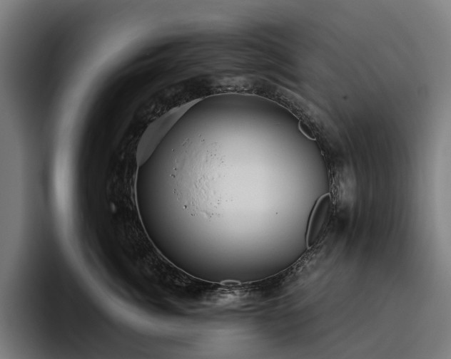 X0000094810764200711161507