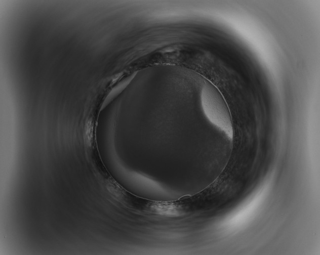 X0000094810767200711161507