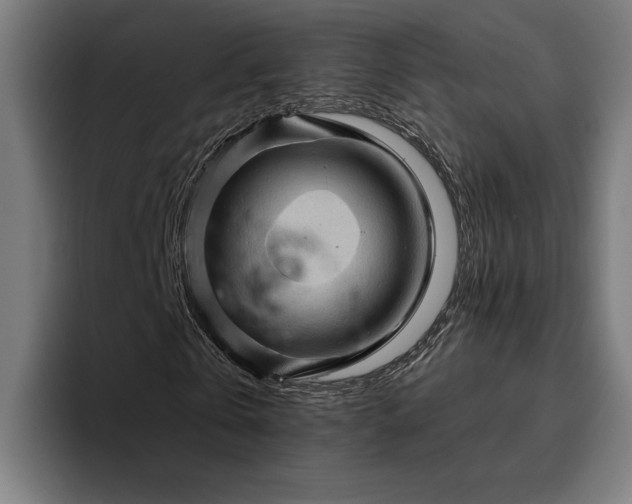 X0000094810769200711161507
