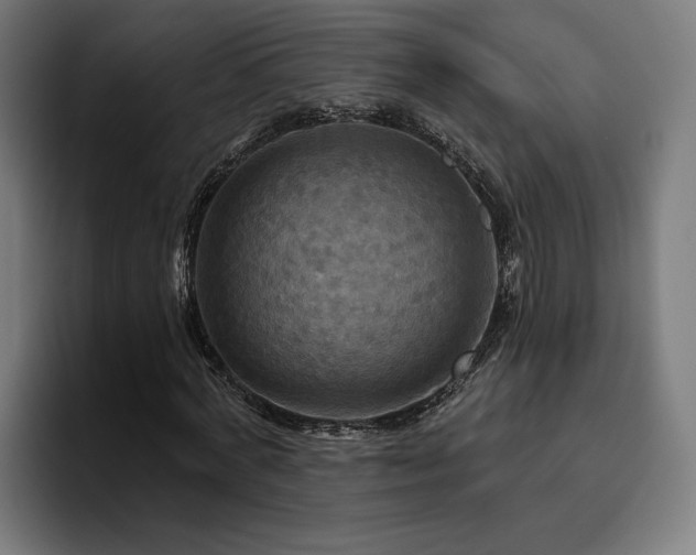 X0000094810772200711161507