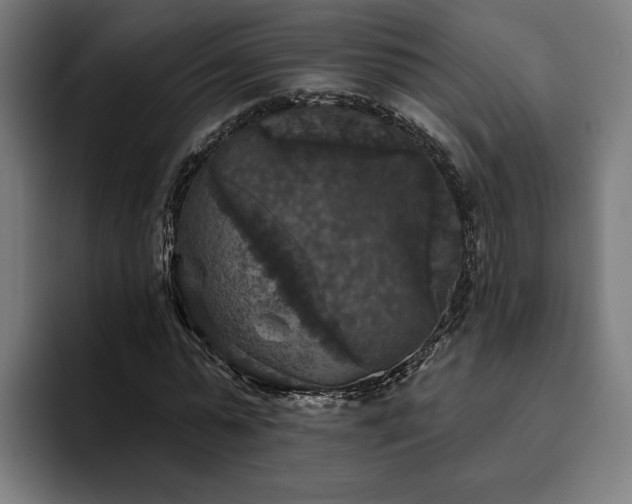 X0000094810775200711161506