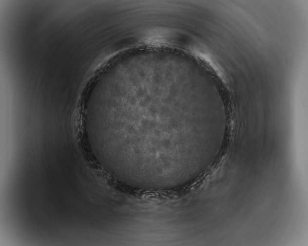 X0000094810776200711161506